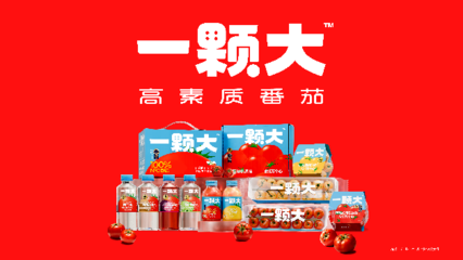 一顆大櫻桃番茄的東南亞之旅 中國蔬菜“出?！卑鎴D再拓展