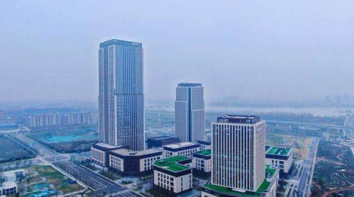 揚州生態科技新城三項目入選省重點清單，以軟件驅動“兩業融合”新篇章